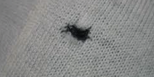 穴が空いたもの